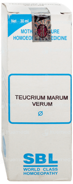 Sbl Teucrium Marum Verum Q Mother Tincture 30Ml